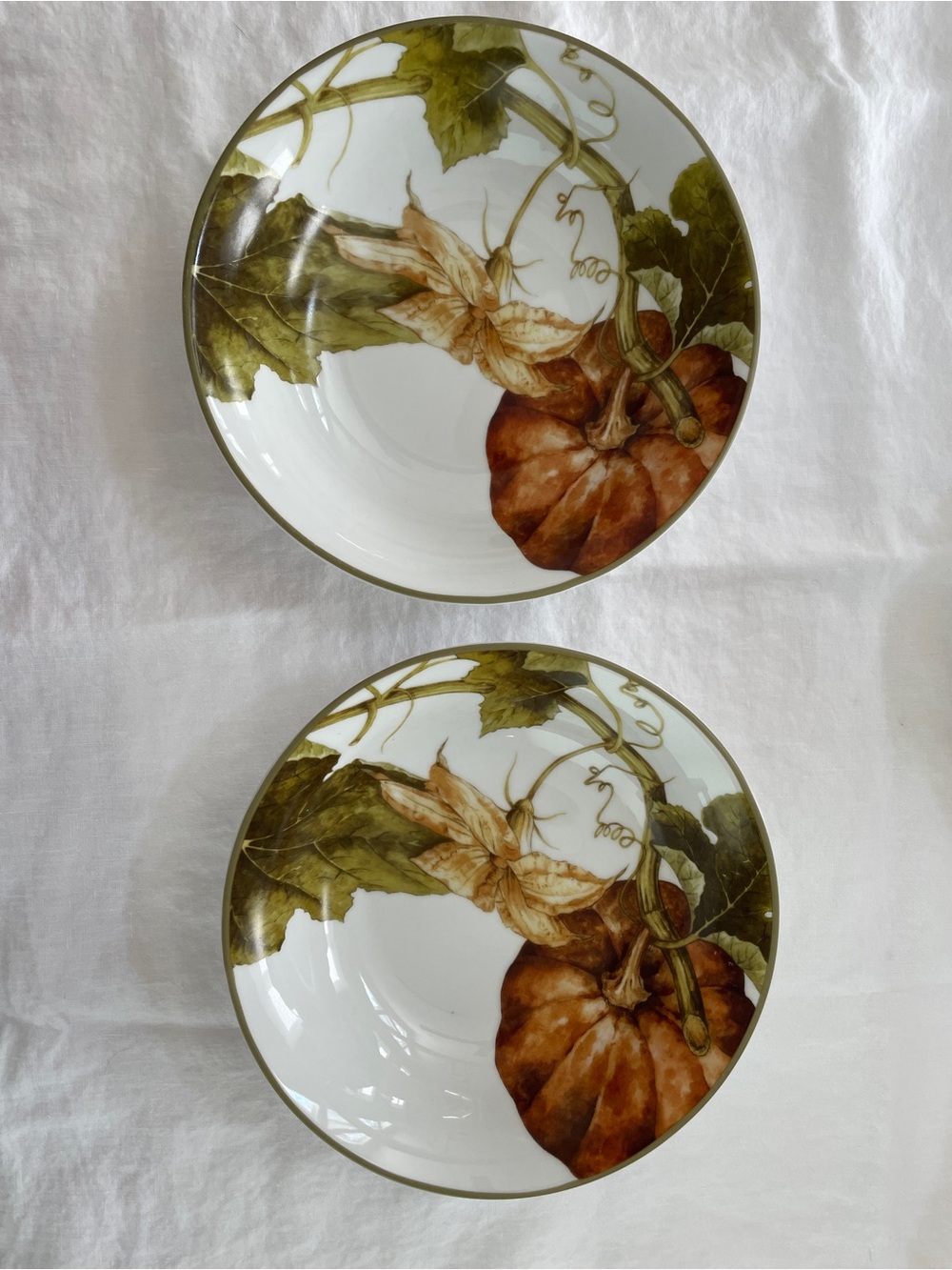 Williams Sonoma Botanical Pumpkin Coupe Soup Bowls 8.75” (Set of 2)